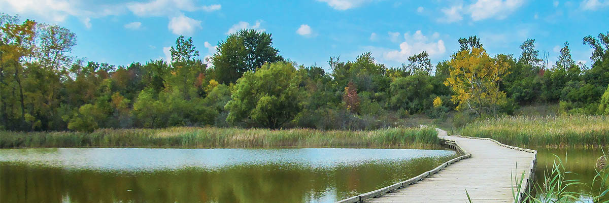 Versatile Helicopter Services Across Ann Arbor