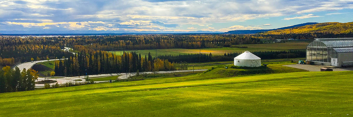 The Importance of Helicopter Services in Fairbanks