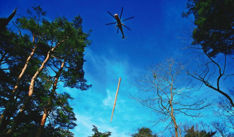 Seward Heli-Logging, Utility Servicing & Emergency Services - Seward Helicopter Lift Solutions