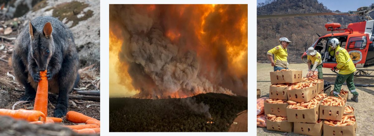 Helicopters Assist After Australian Bushfires
