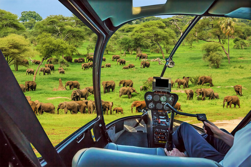 Helicopter Wildlife Surveys