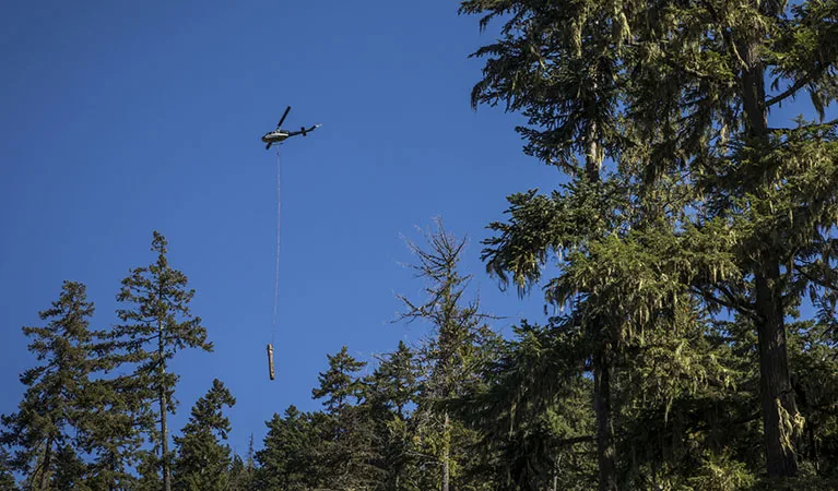 Long-Line Helicopter Logging