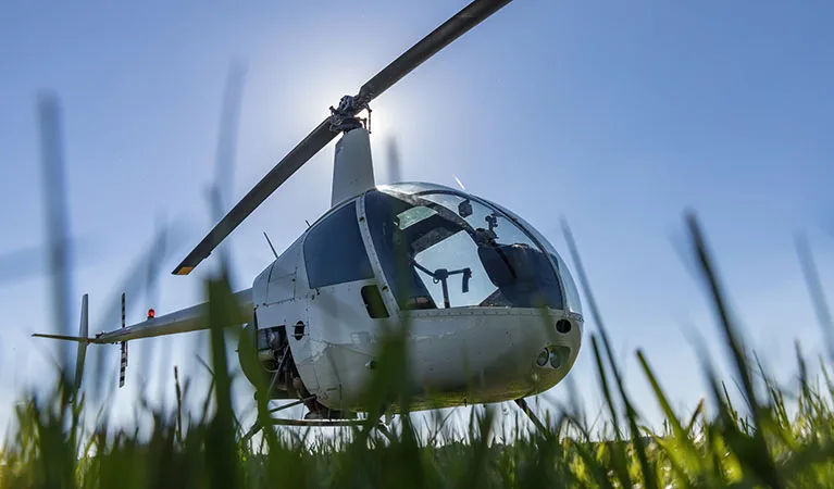 Robinson R22 Helicopter