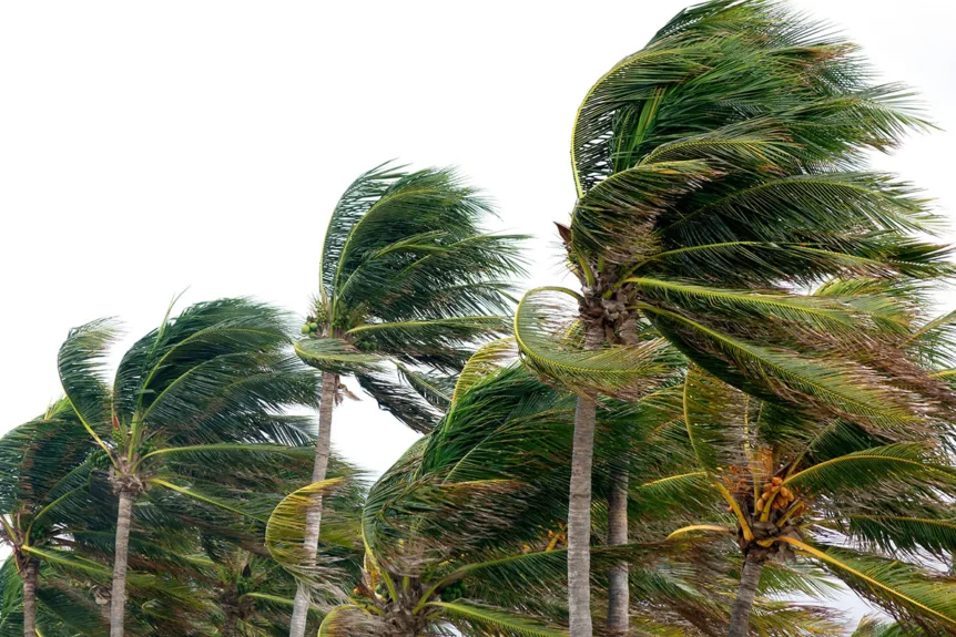 Hurricane Idalia: Latest Updates and Precautions