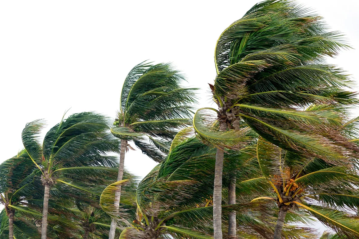 Hurricane Idalia: Latest Updates and Precautions