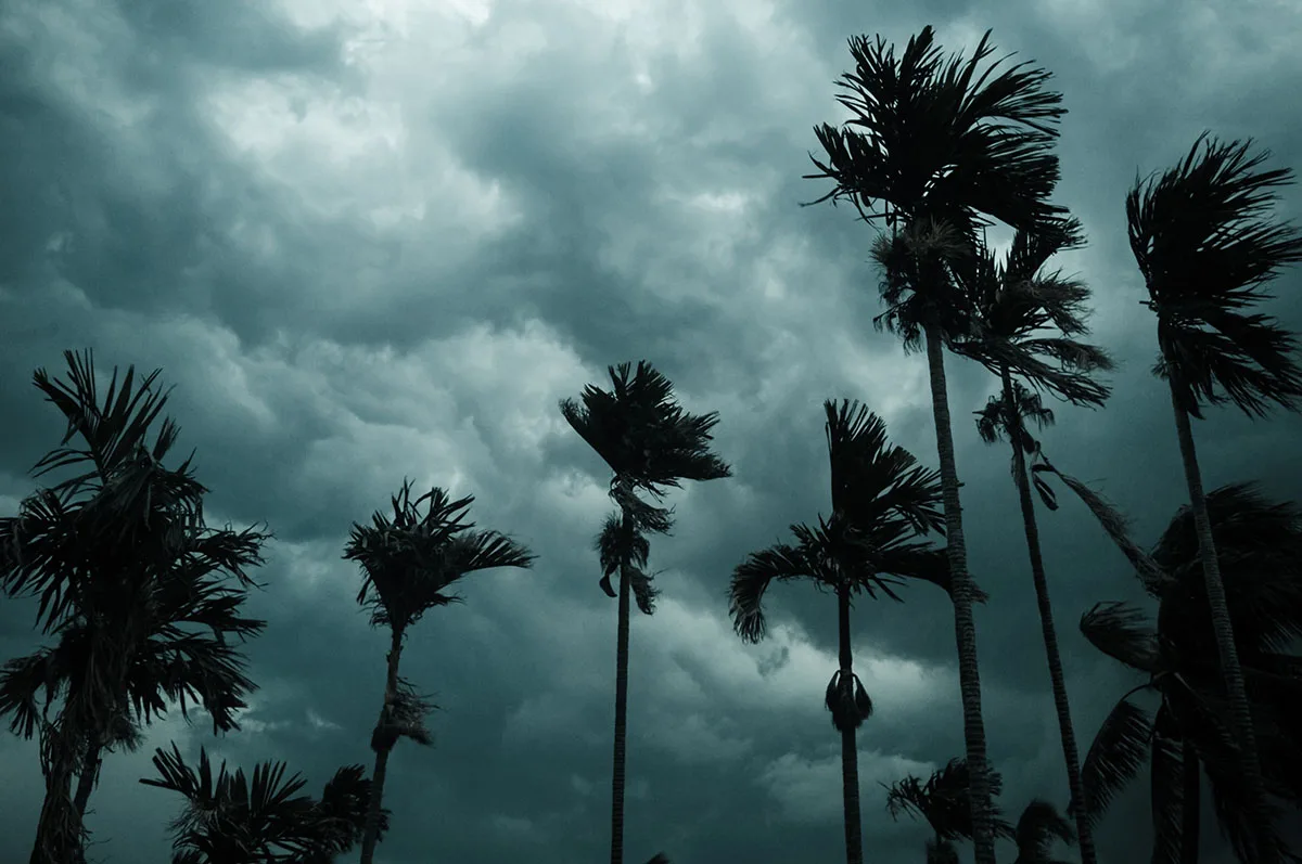 Helicopters and Drones for Natural Disaster Relief: Fair Lifts' Response to Tropical Storm Idalia