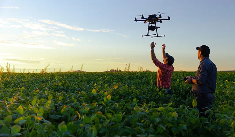 Agriculture Aerial Surveys