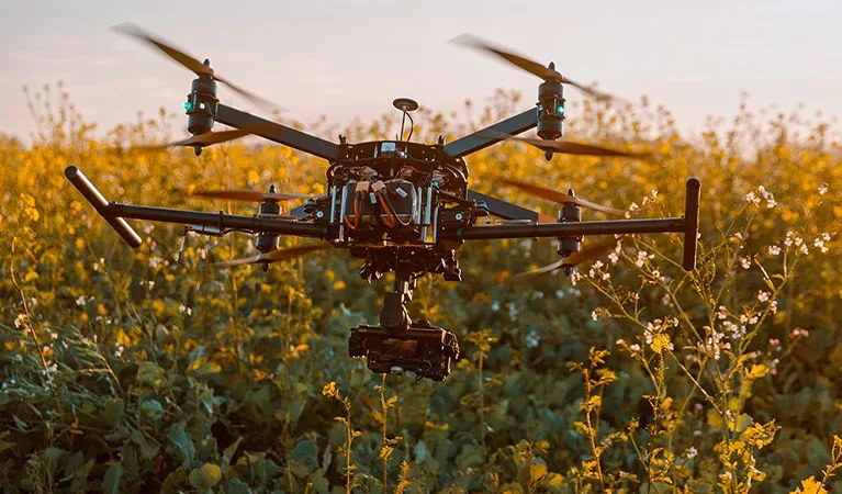 drone inspection over farm crop