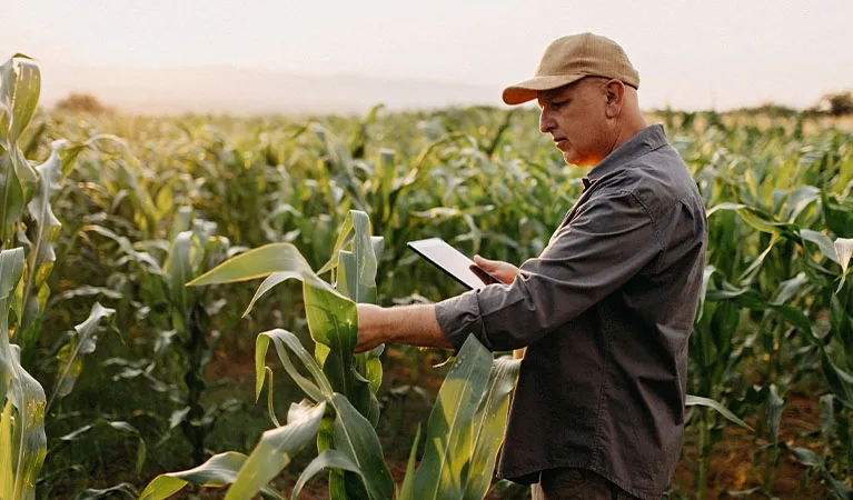 Aerial view of fields and agricultural parcels. Fair Lifts UAV ag service analysis
