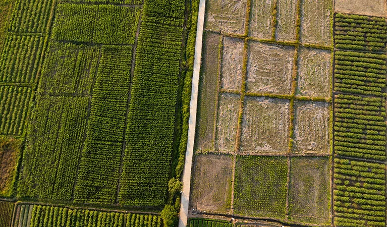 Aerial view of fields and agricultural parcels. Fair Lifts UAV ag services