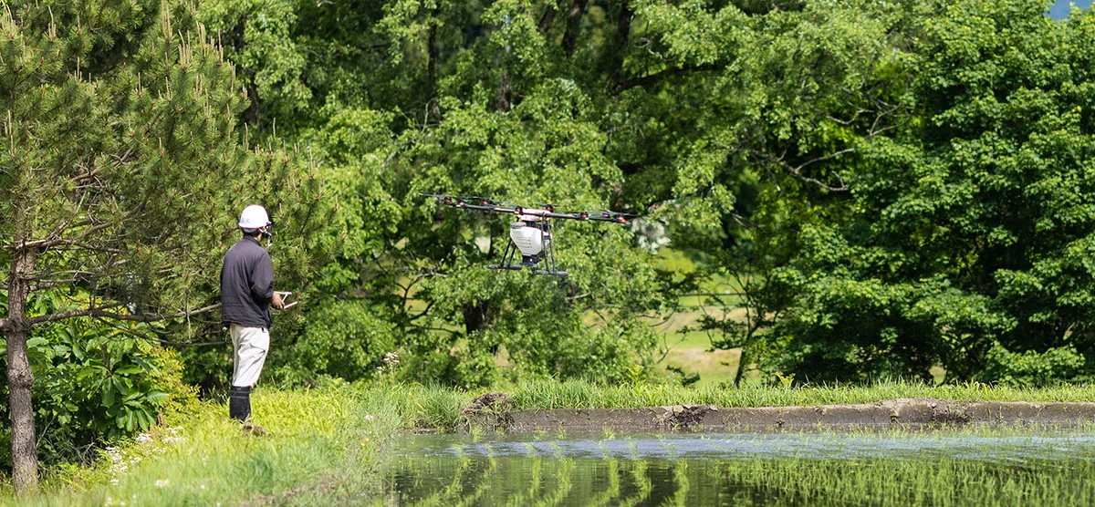 A large octocopter drone with a payload of up to 10kg is flying over a rice field to drop fertilizer on the new crops to help with their growth.