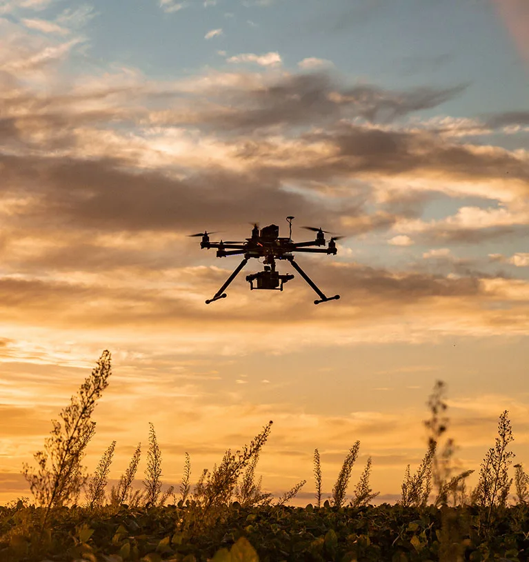 Aerial Surveys & Advanced Field Analysis