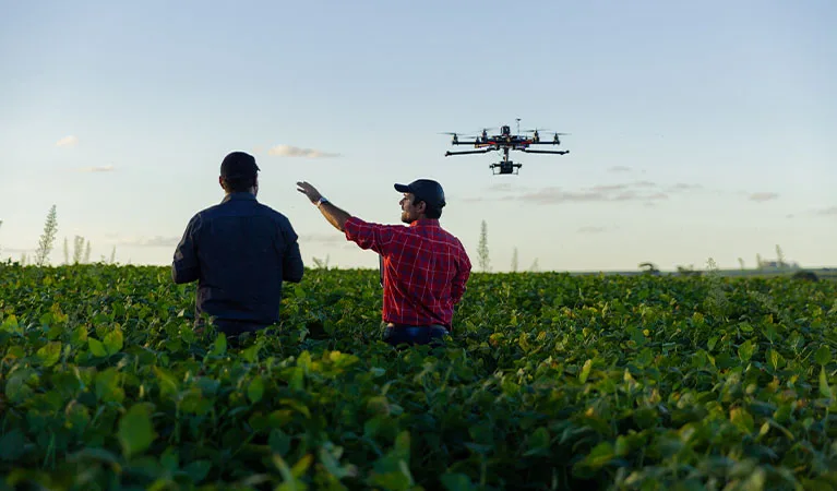 Aerial Surveys & Advanced Field Analysis