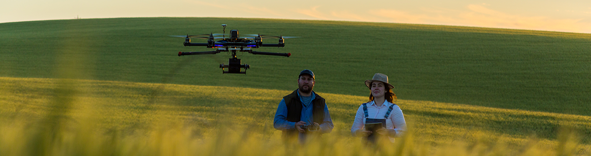 Aerial Surveys & Advanced Field Analysis