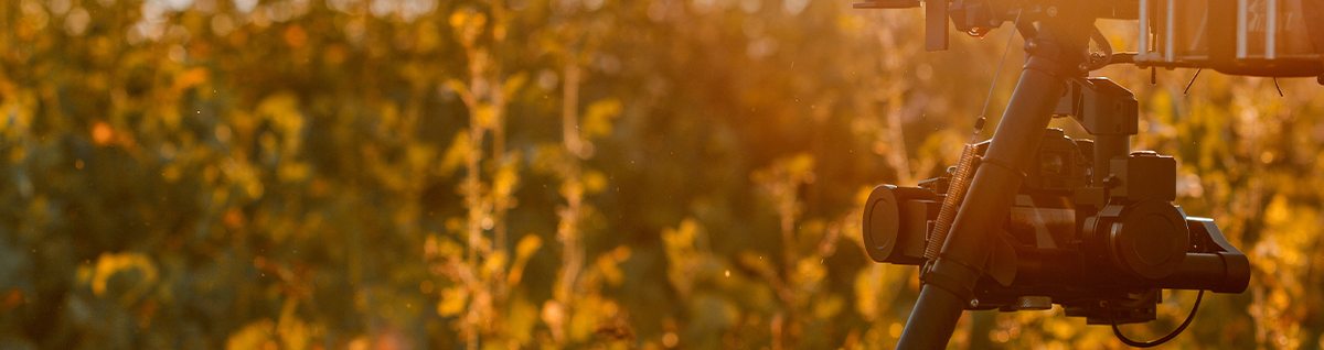 Aerial Surveys & Advanced Field Analysis