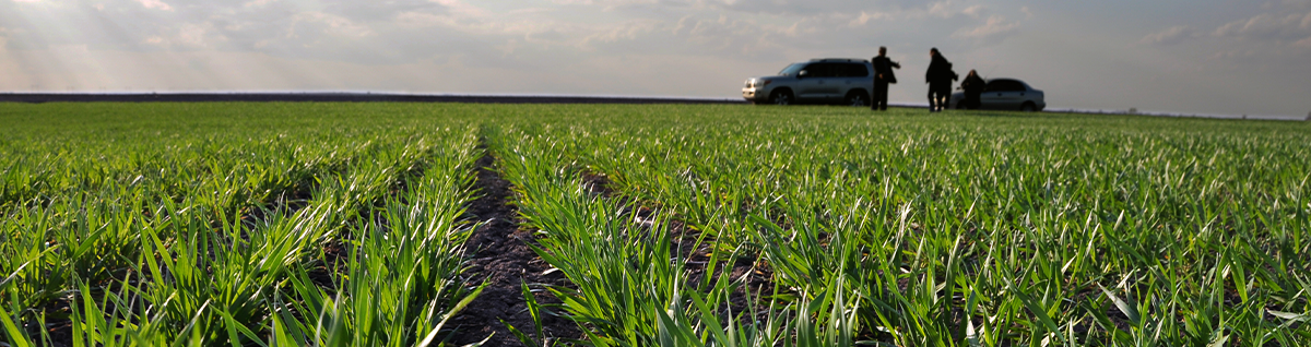 Aerial Surveys & Advanced Field Analysis