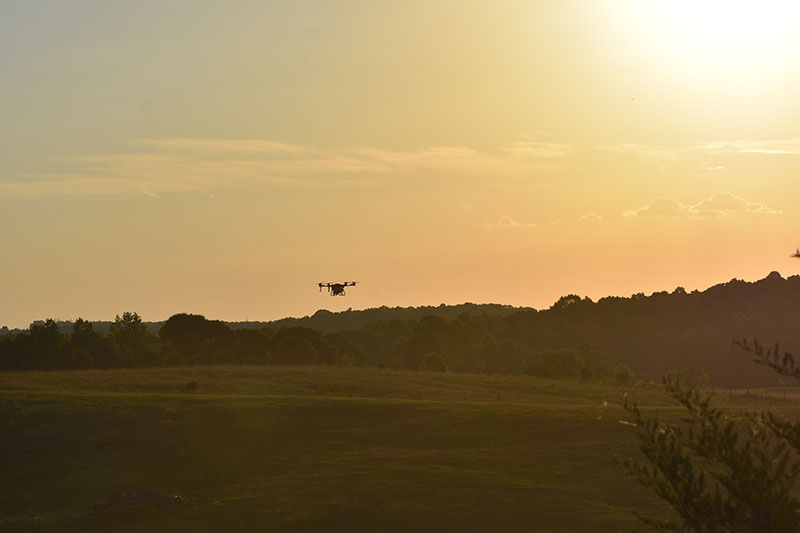A Fair Lifts XAG P100 Pro Flying Above a Pasture in Georgia.