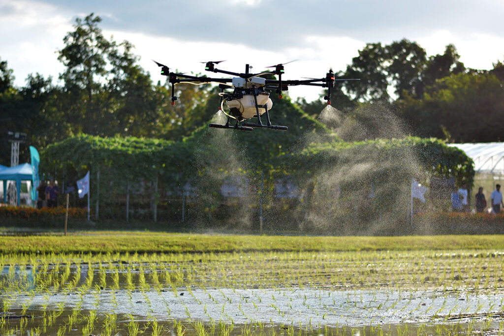 Drone spraying pesticide