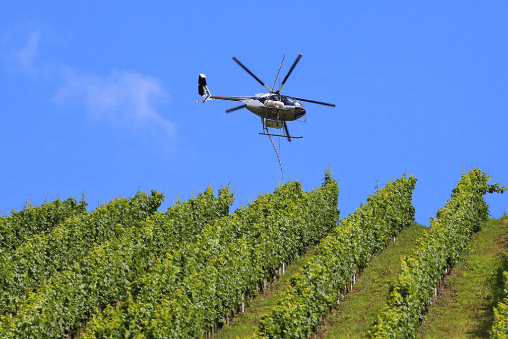 Fungicide application