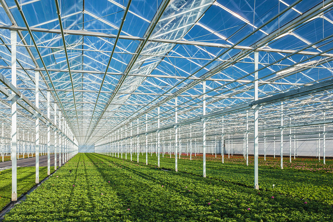 Greenhouse Shading vs. Shade Cloths