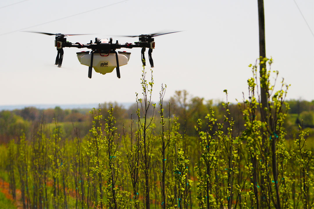 Featured image for “Fair Lifts Brings Innovation to McMinnville with Agricultural Drone Spray Job”