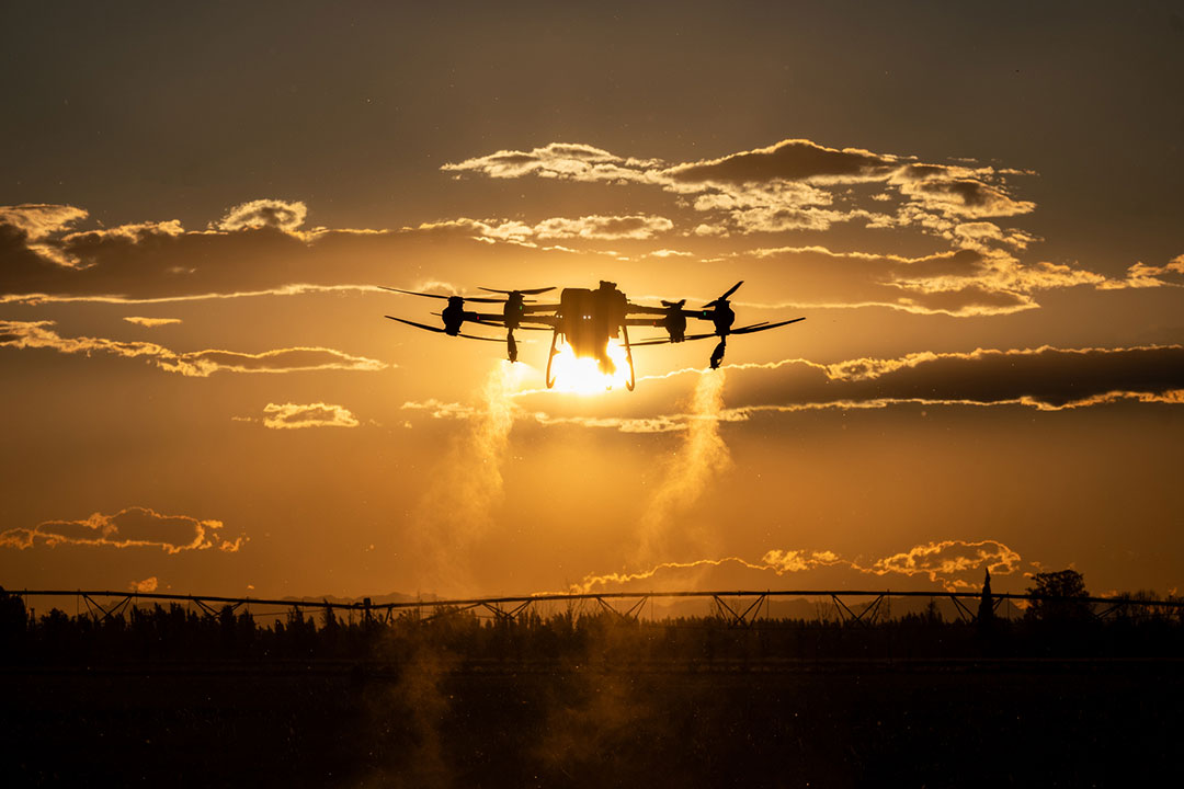 Featured image for “How Row Crop Drone Services Are Revolutionizing Agriculture in Georgia and South Carolina”