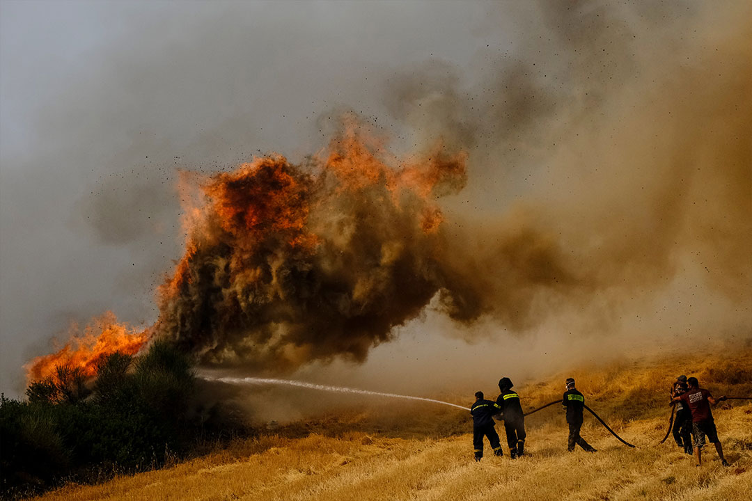 Firemen battle to extinguish a wildfire in the area of Afidnes, northeastern suburb of Athens, Greece | Photo: Alexandros Michailidis / Shutterstock.com