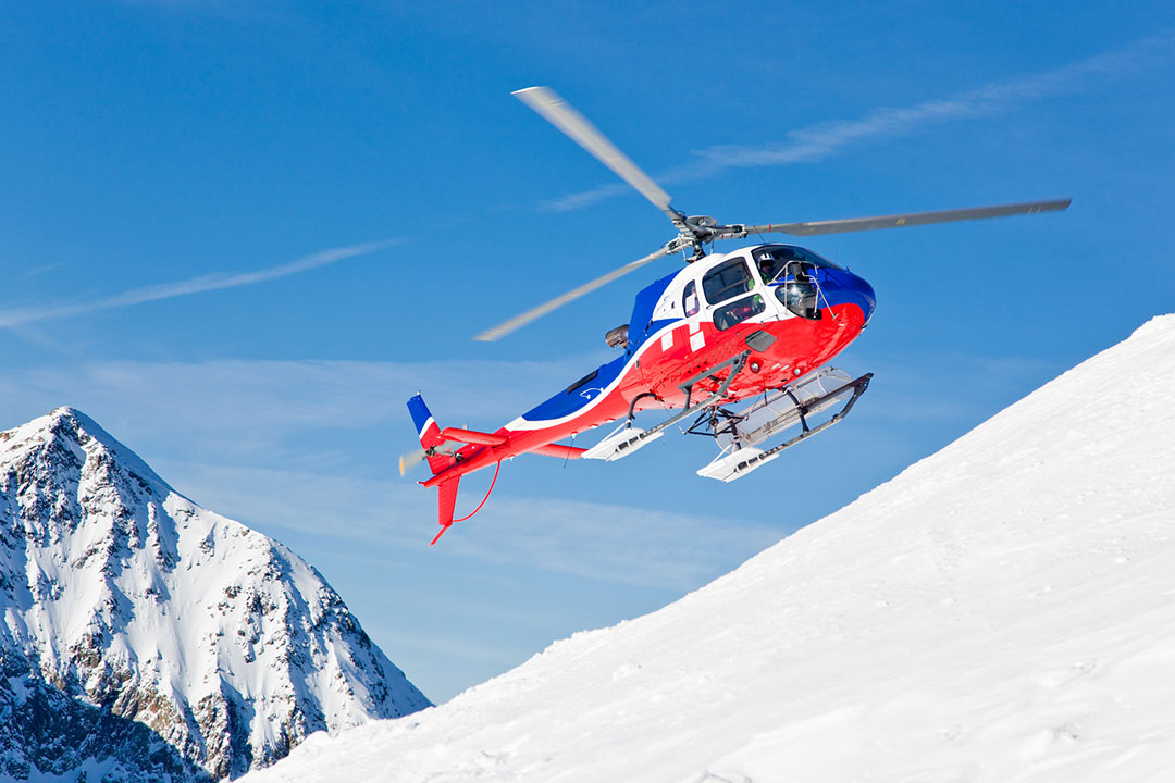 Chihuahua Leads Rescue Helicopter to Owner Trapped in Swiss Glacier Crevasse