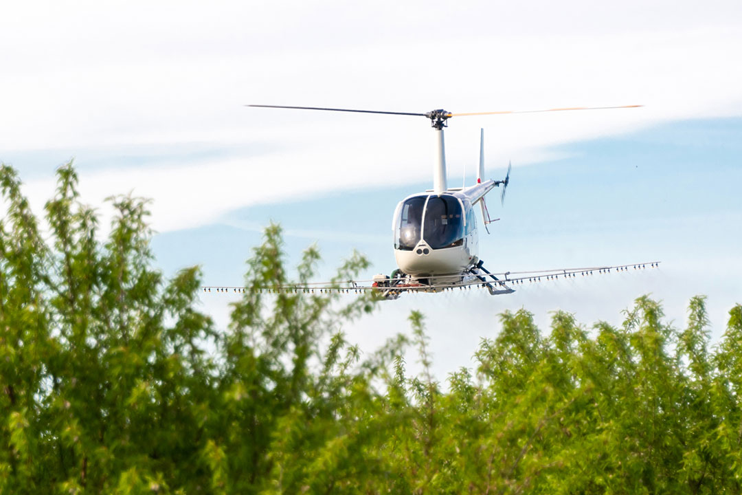 Featured image for “How Agricultural Helicopters Are Winning the War on Crop Infestations”