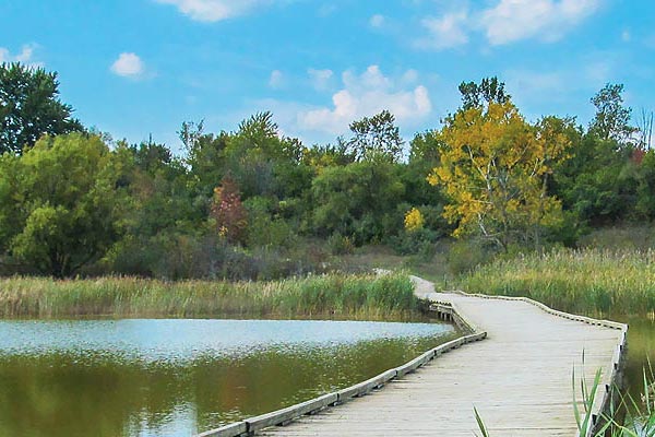 Versatile Helicopter Services Across Ann Arbor