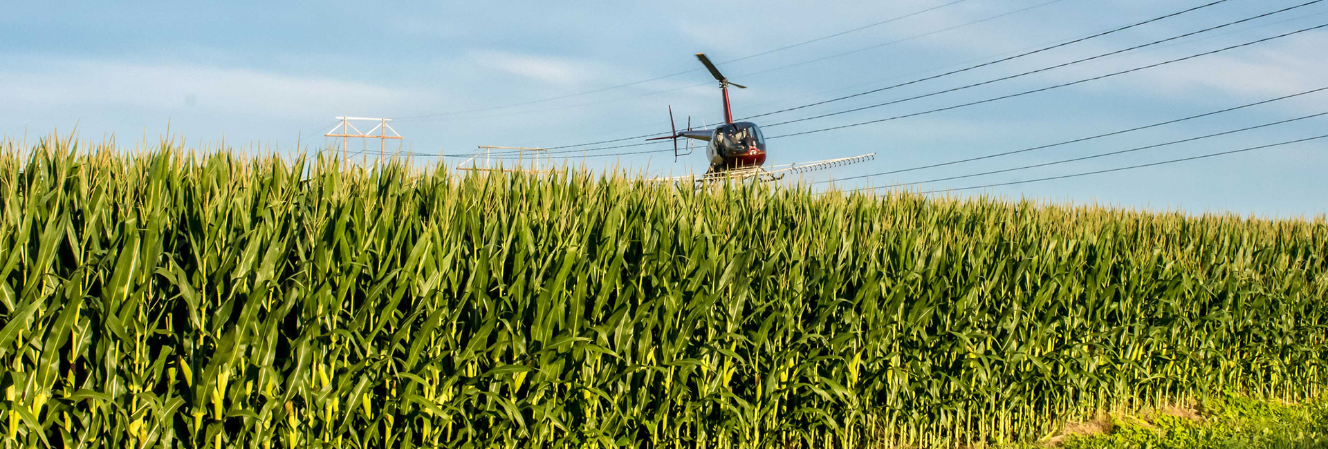 Dependable Aerial Support Tailored to Your Project