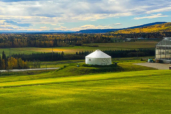 The Importance of Helicopter Services in Fairbanks