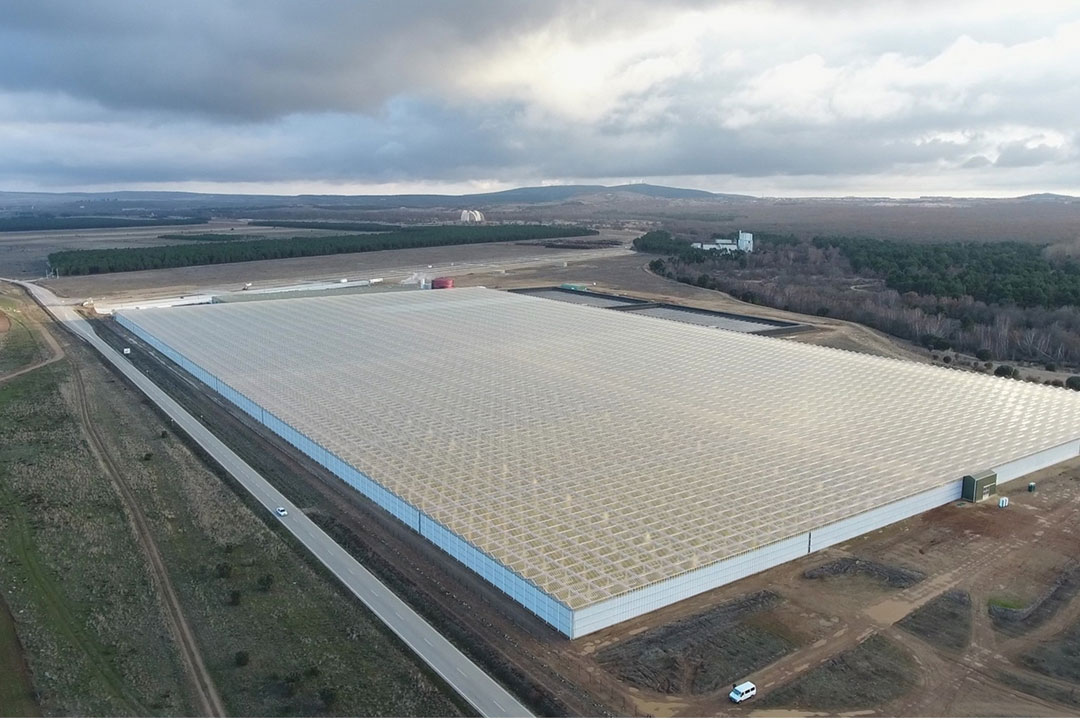 Dalsem's Aleia Roses Complex in Spain | Photo: dalsem.com