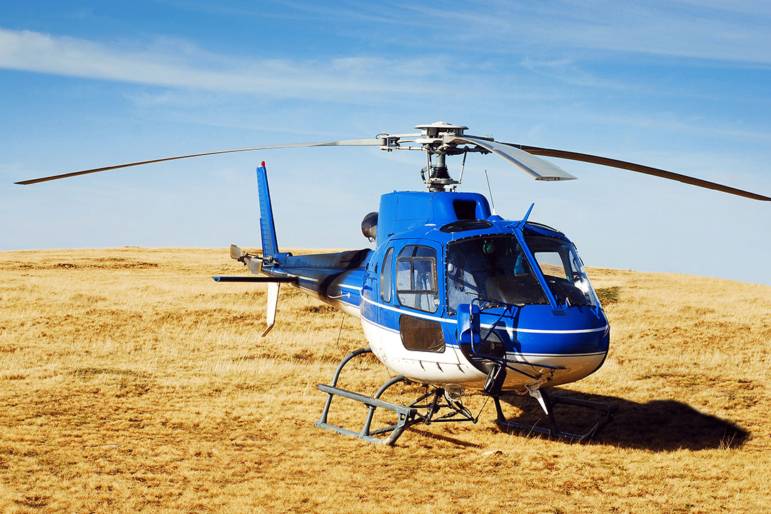 Accuracy & Data Quality