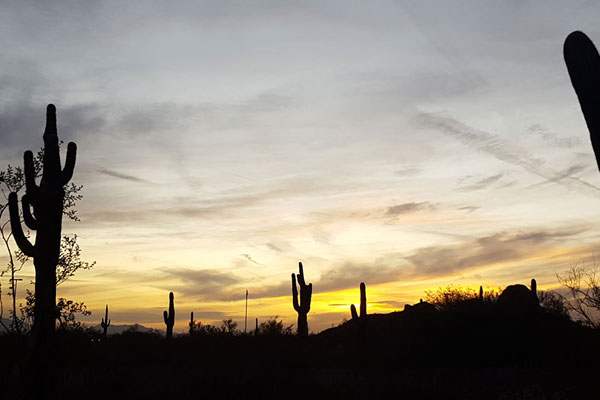 Innovative Helicopter Lift Solutions Supporting Chandler’s Growth