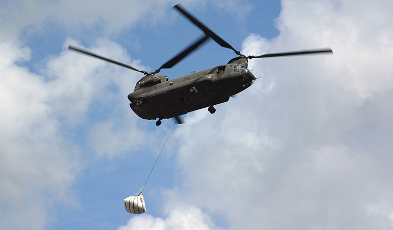 Cargo Transport and Supply Delivery