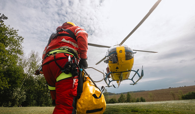 Get The Support You Need, When You Need It