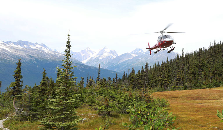 Exceptional Maneuverability