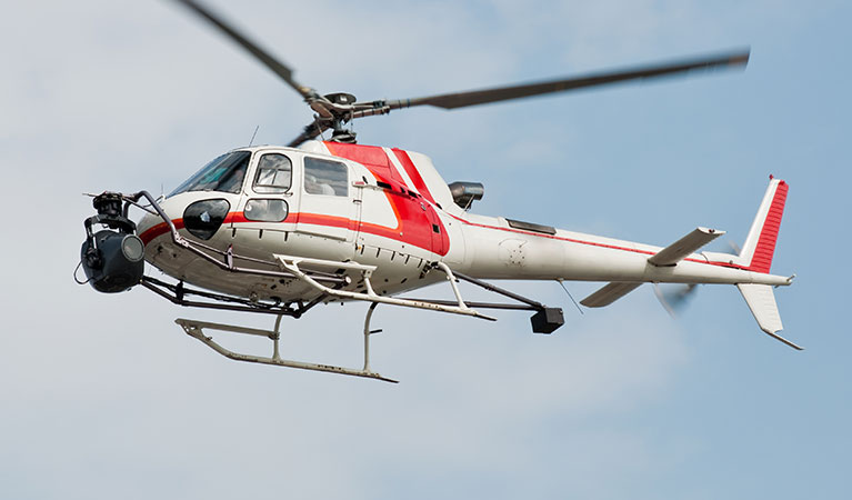 Aerial Surveying and Geophysical Data Collection