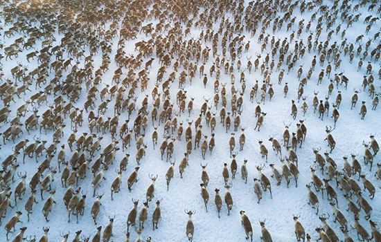 Environmental Monitoring