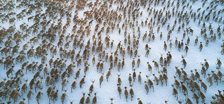 Environmental Monitoring