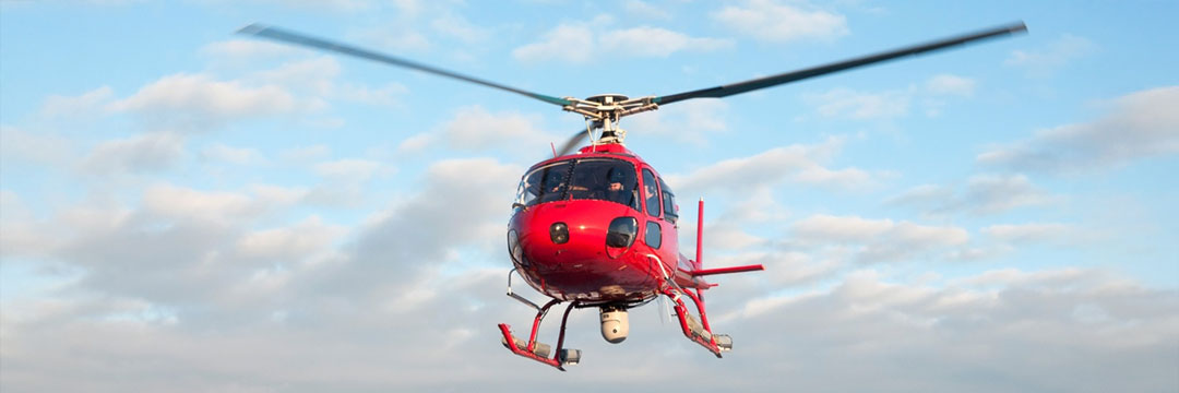 MANAGING VALUABLE ASSETS WITH AERIAL THERMAL IMAGING