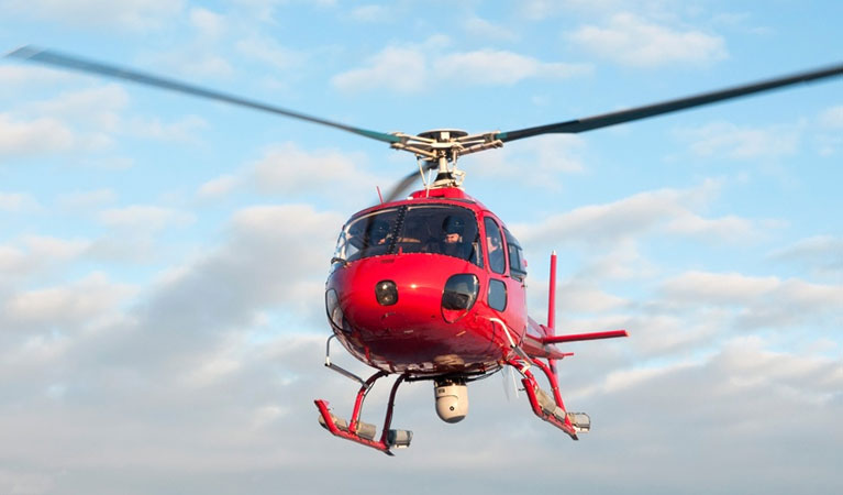 MANAGING VALUABLE ASSETS WITH AERIAL THERMAL IMAGING