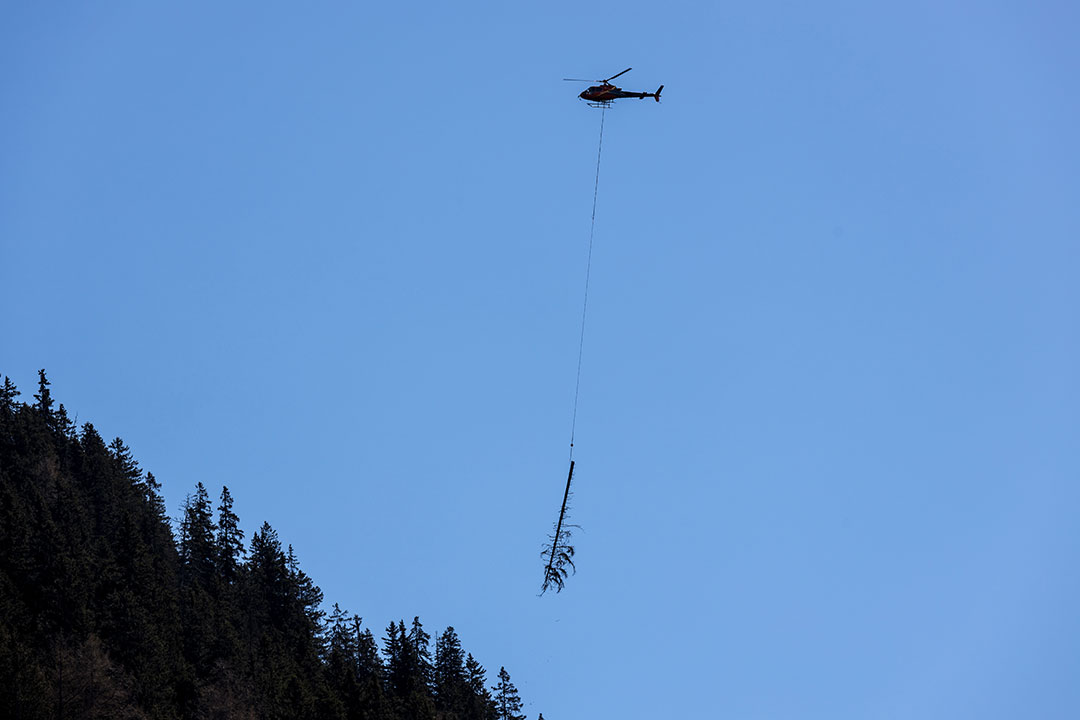 Featured image for “Helicopter Tree Removal at a Colorado Reservoir Tackles Hazardous Flooded Forest Conditions”