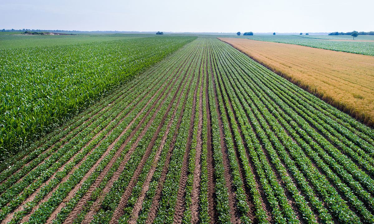 A Fair Lifts Drone Team at Work Spraying Corn and Soybeans