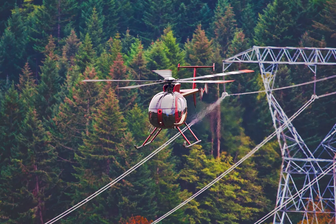 Helicopter supporting vegetation management along transmission lines in forested corridor.