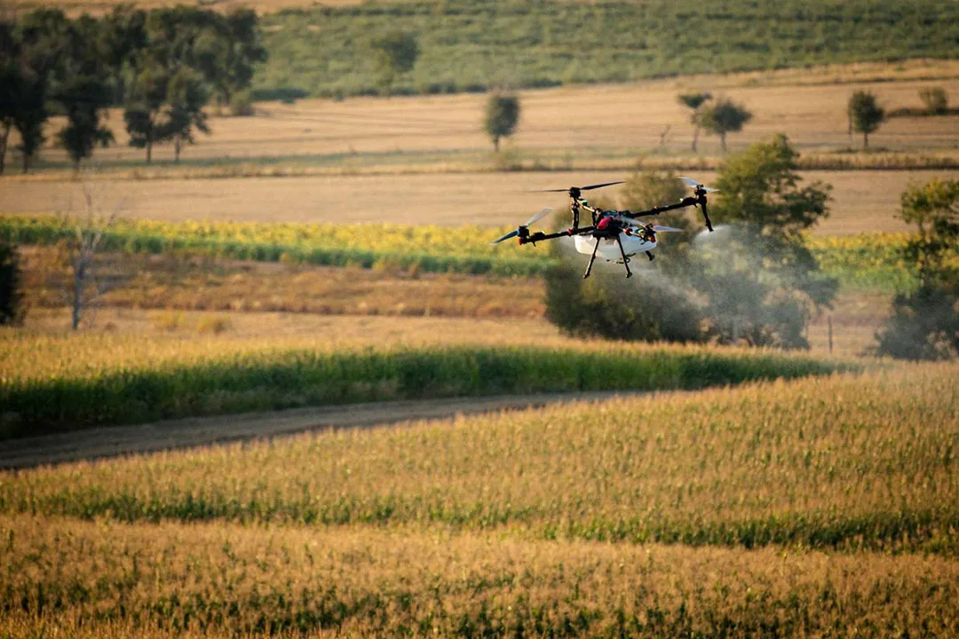 XAG P150 MAX Drone sprays a cornfield | Photo: xa.com