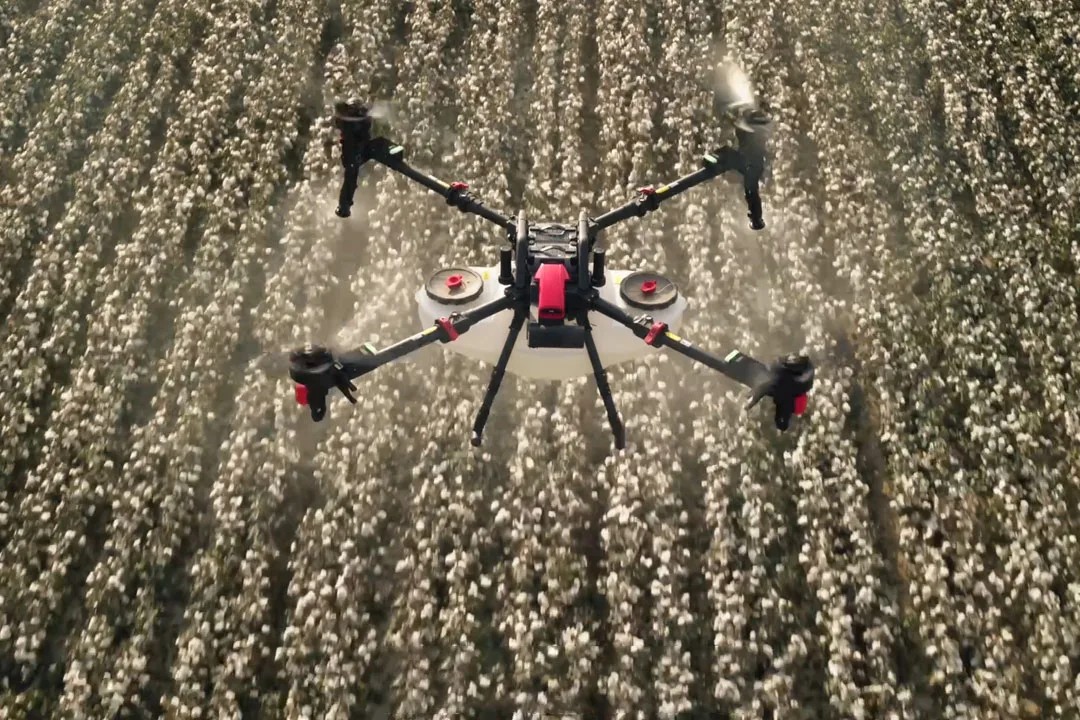 A XAG P150 MAX drone sprays a cotton field. | Photo: xa.com