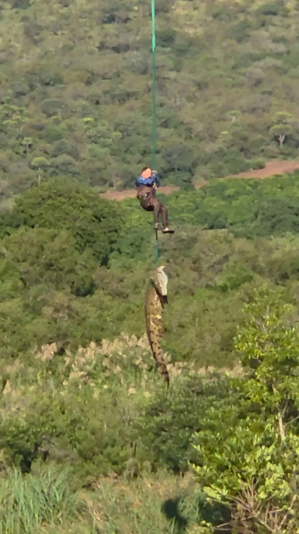 Capt. Johan “Pottie” Potgieter, head of a police diving unit, secured the euthanized 15-foot crocodile with a rope before both were lifted from the Komati River in northeastern South Africa | Photo: Reuters.com