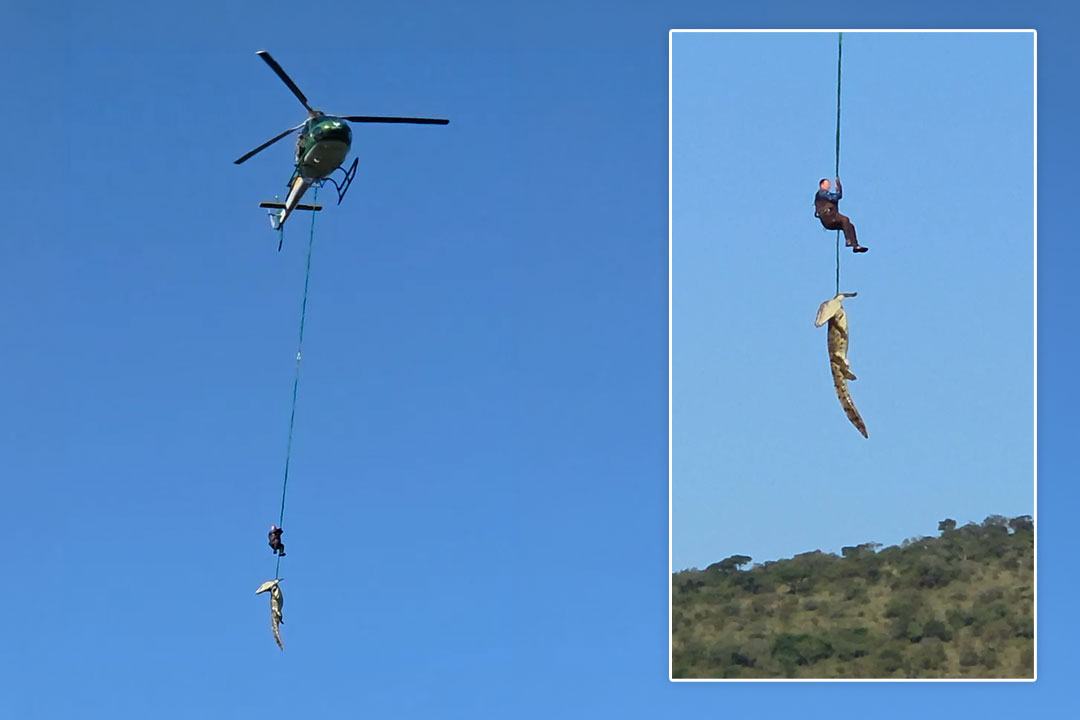 Featured image for “Extreme Recovery Mission Sees Helicopter Deploy Diver Into Crocodile River”